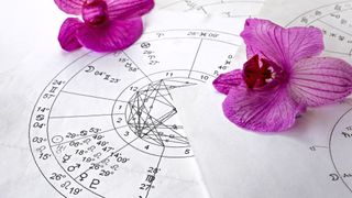 Printed natal chart with orchids in the background