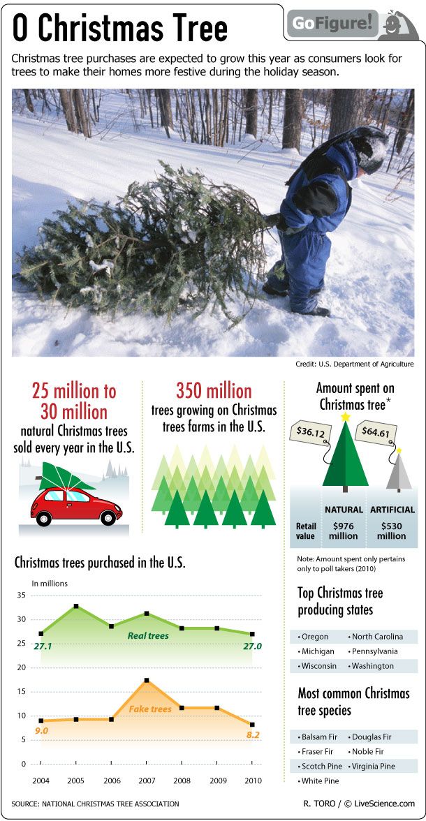 Christmas decorating drives an annual surge in sales of live and artificial trees.