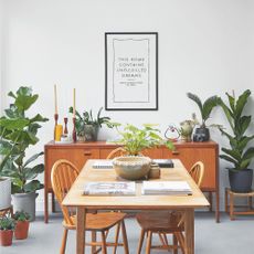 Collection of large and small houseplants around wooden dining table and chairs in dining room