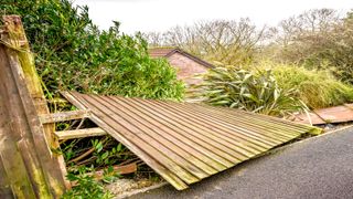 Blown over wooden fence panels