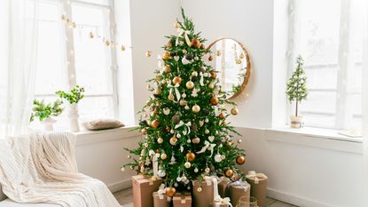 An image of a Christmas tree in a living room with a sofa and presents underneath it