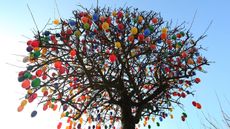 Eggs decorate a tree in Germany 