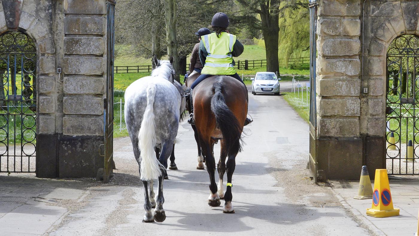 ride-and-lead-high-viz.jpg