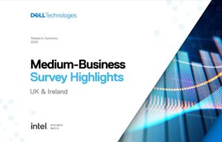 Medium Business Survey Highlights