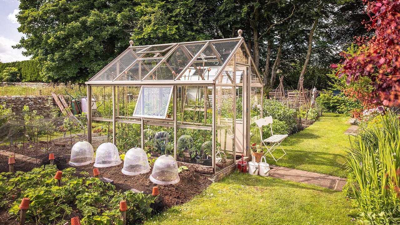 greenhouse trends for 2025 – Tradition 8 Glass to Ground Greenhouse by Hartley Botanic in garden