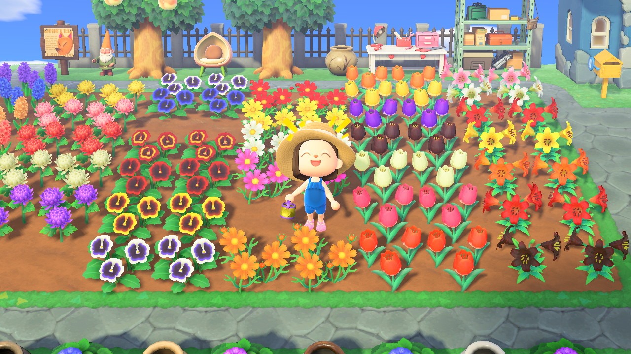 Figuring out flower breeding in animal crossing.