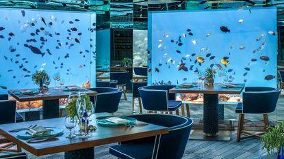 Underwater restaurant