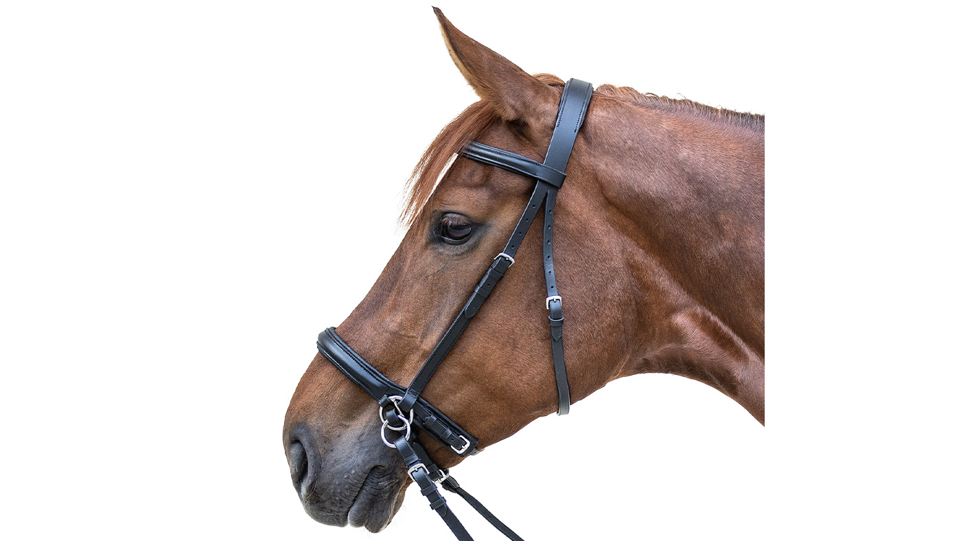 Waldhausen Star Bitless Bridle