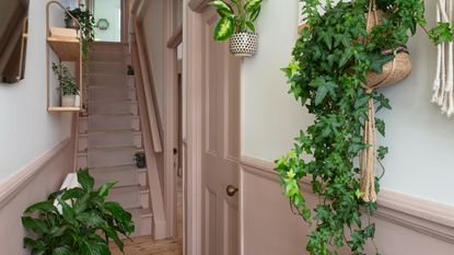 A green-painted hallway with an arched white front door