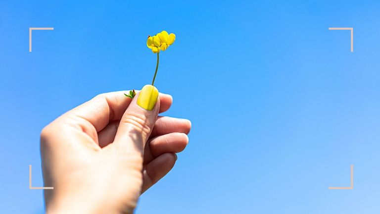 A hand wearing yellow spring nail designs holding a yellow flower on a blue sky backdrop