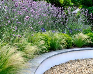 low maintenance garden border ideas with ornamental grass and verbena in stone raised beds