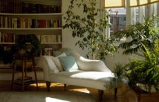 Houseplants and white chaise longue in eighties living room