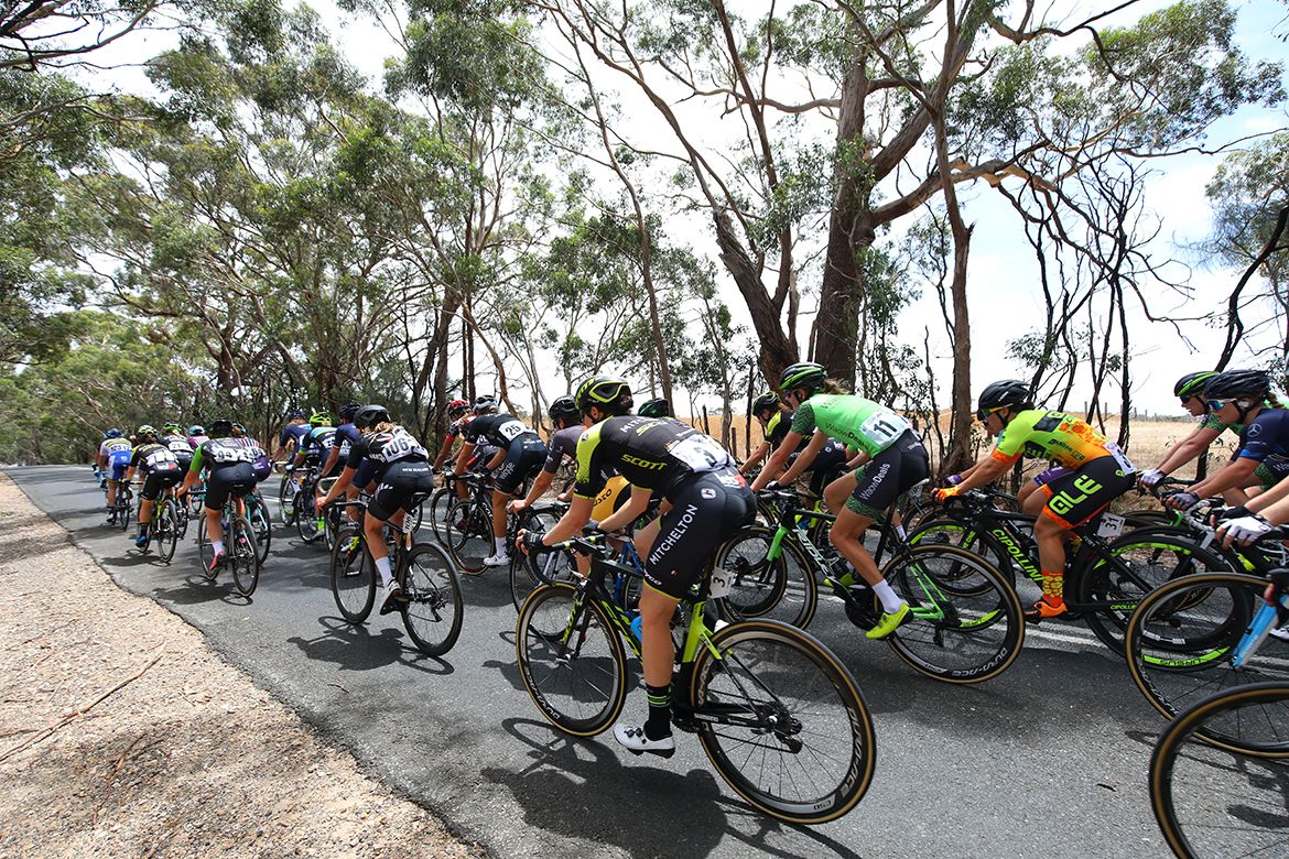The peloton rolls along under the hot summer sun
