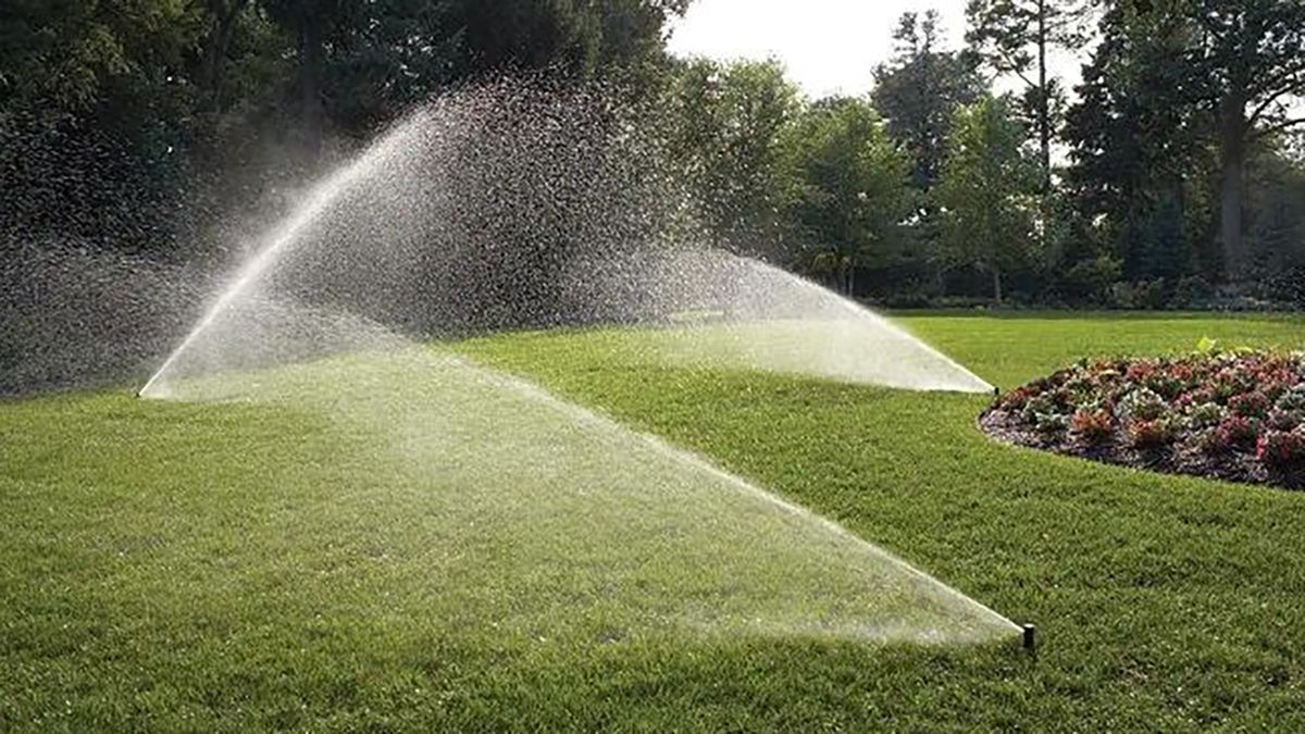 Rain bird lawn sprinkler in use on green lawn.