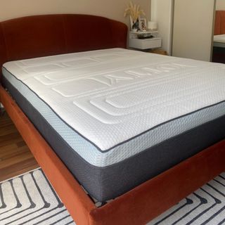 Otty Pure Plus mattress in bedroom with rug and velvet bed frame