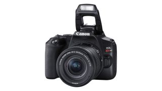 Canon EOS Rebel SL3 7