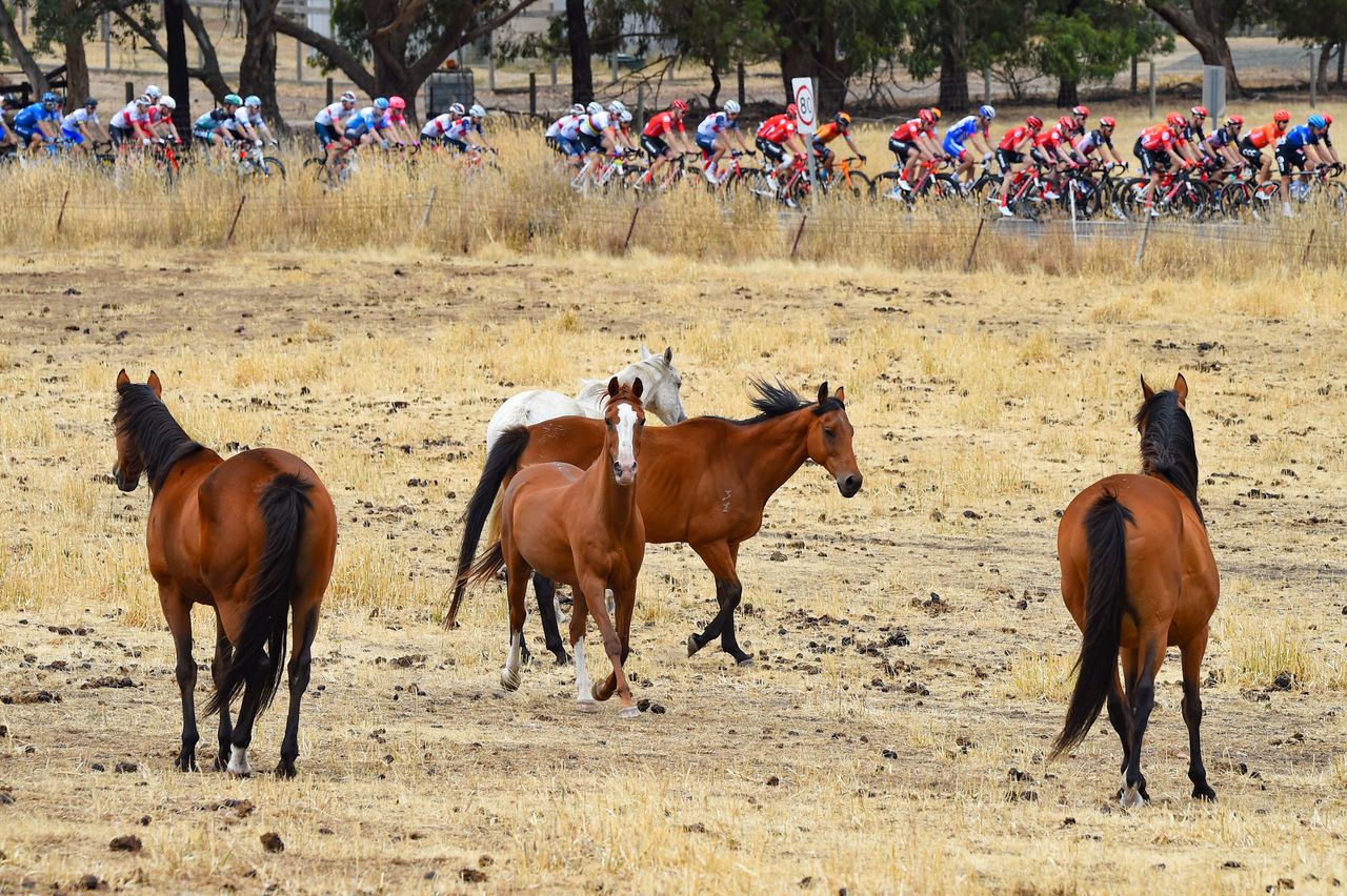 Tour Down Under