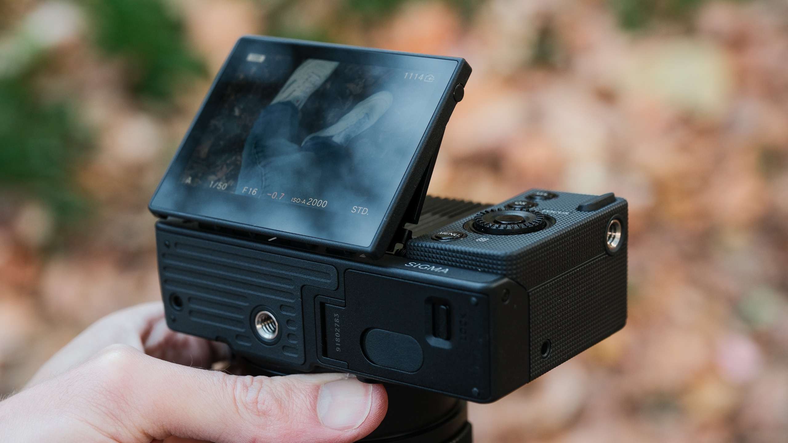 Close-up of the Sigma FP2 articulated rear screen tilted upward while displaying the live view.