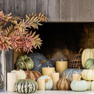 colorful pumpkins and gourds