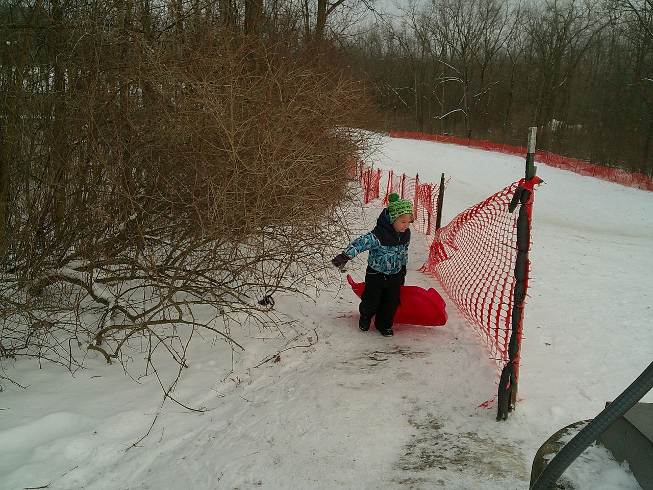 A sample image from the Camp Snap camera