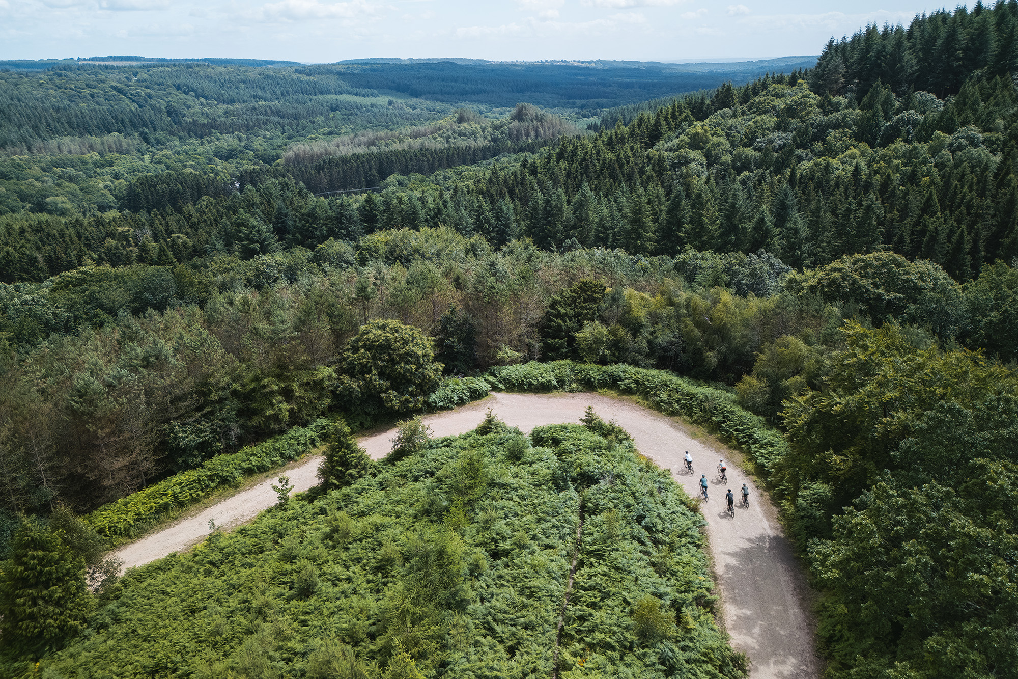 Cyclists riding on gravel track in the Forest of Dean