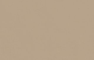 Beige 02: Light Brown Beige Paint - Matt Emulsion Paint