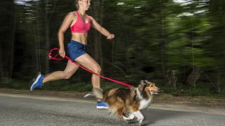 Woman running with her Shetland sheepdog