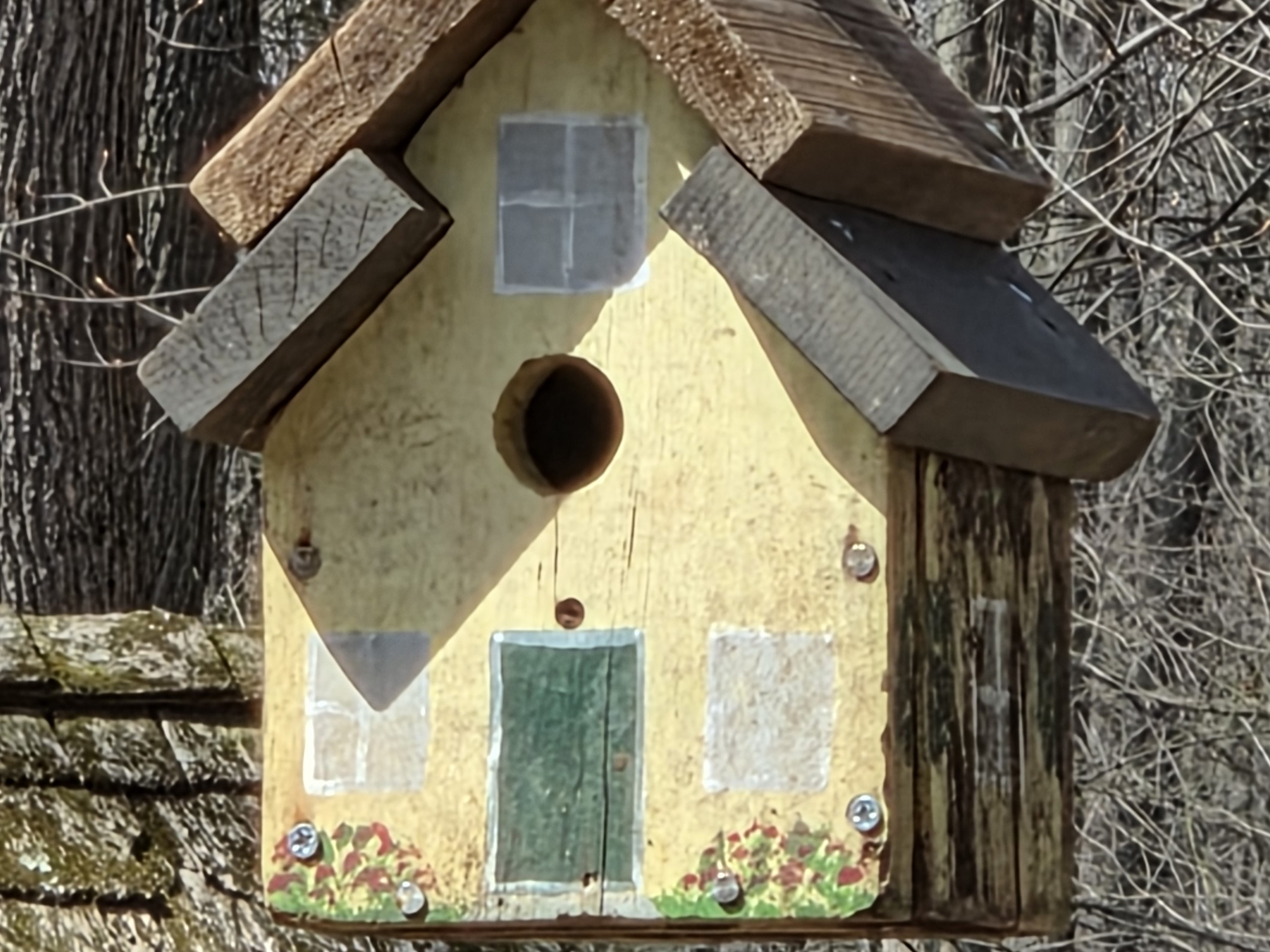 Samsung Galaxy S26 Plus Review Camera Samples