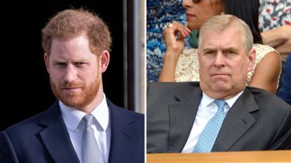 Prince Harry would 'pull a face' after Prince Andrew spoke to staff
