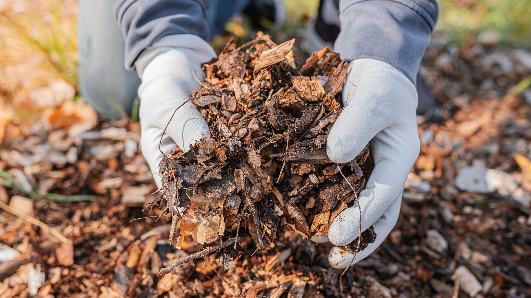 10. Mulch leaves when you mow