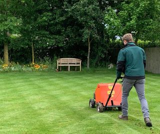 Man removing moss and thatch from the surface of a lawn using a power scarifier