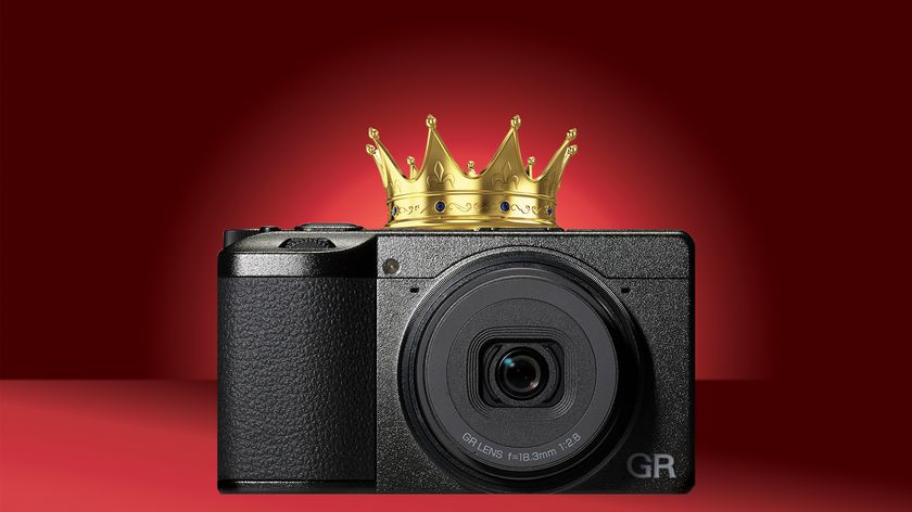 A stylish black camera with a gold crown on top, set against a rich red backdrop, symbolizing photography royalty