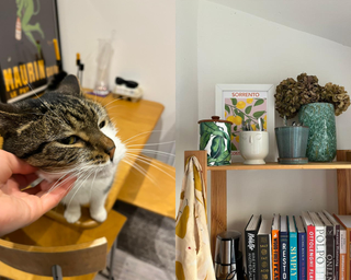 A collage of a cat and bookshelf with cute planters