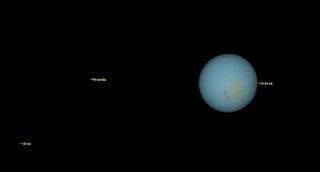 graphic illustration of Uranus appearing as a blue sphere with moons miranda and ariel labelled to the left.