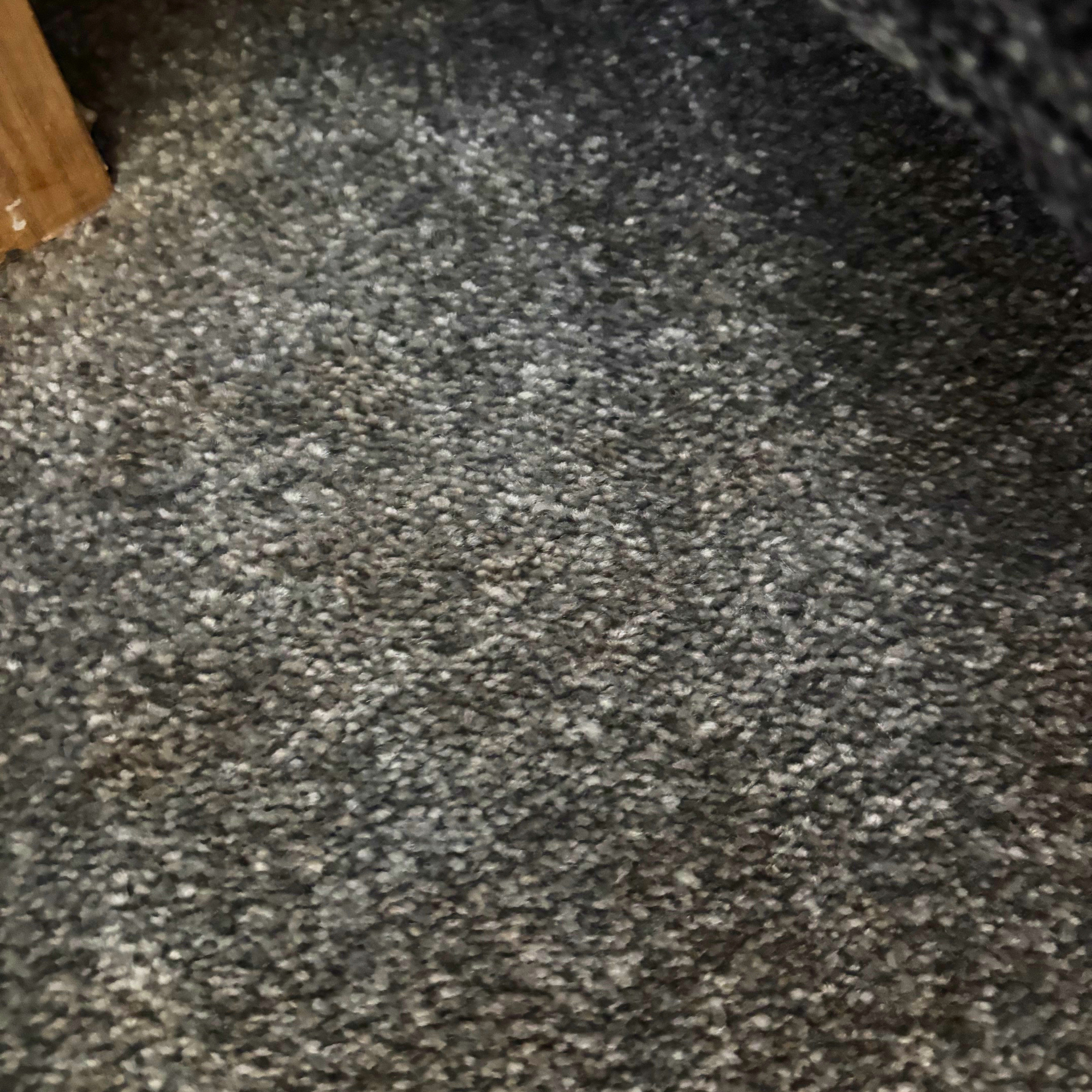 carpet after using Beldray Spot Lift Pro Carpet Cleaner