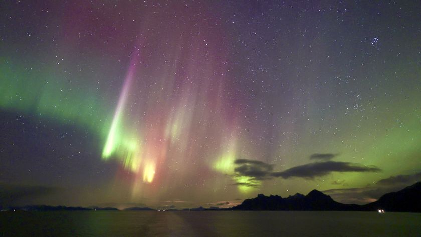 northern lights appear as curtains of magenta and green stretching down from the sky.