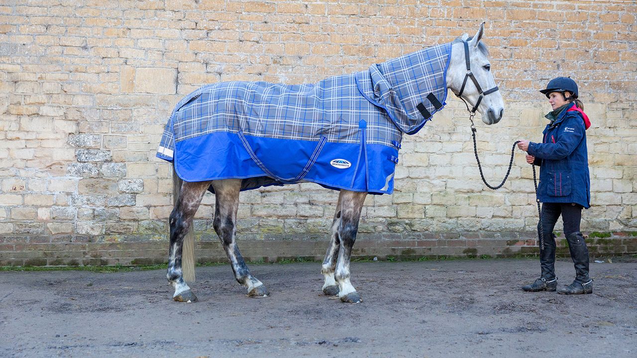 Weatherbeeta ComFiTec Premier Trio Detach-A-Neck medium turnout review