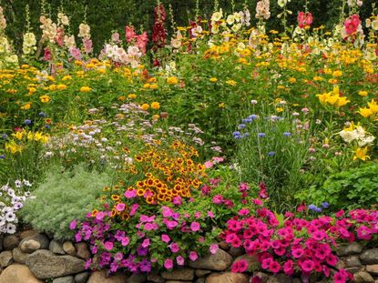 10 Must-Have Cottage Garden Flowers | Gardening Know How