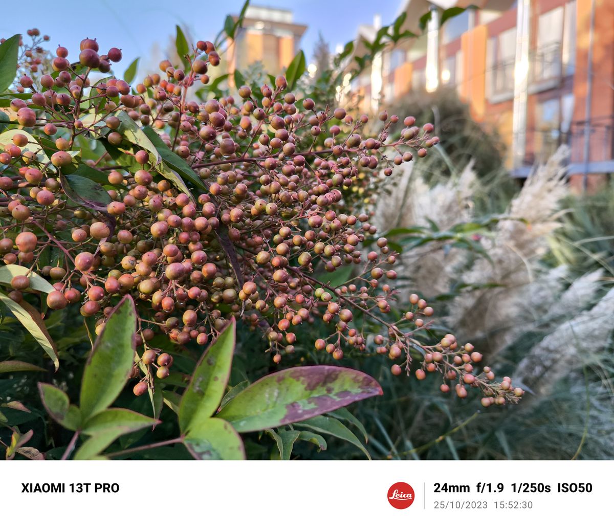 A photo taken on the Xiaomi 13T Pro