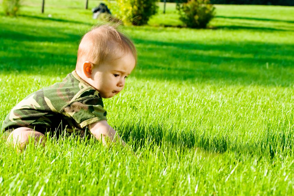 A baby sits and plays on a lush green lawn