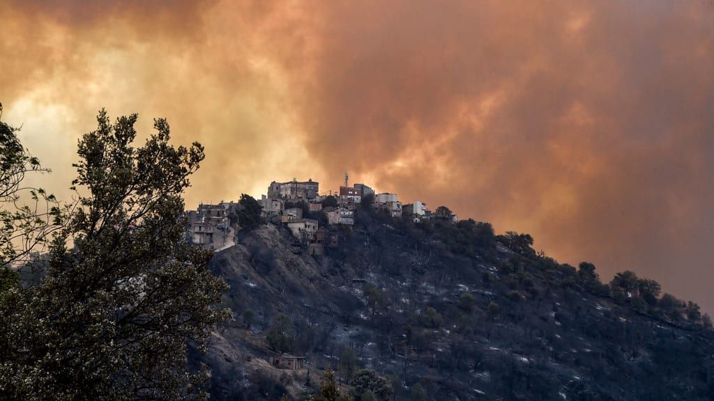 Smoke from fires near Algiers, Algeria.