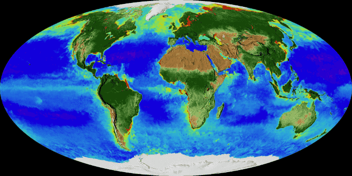 A NASA visualization shows 20 years of continuous satellite observations of plant life on land and at the ocean's surface from 1997 to 2017. Vegetation on land is represented on a scale from brown (low vegetation) to dark green (lots of vegetation). In the ocean, populations of phytoplankton are indicated on a scale from purple (low) to yellow (high).
