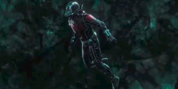 Ant-Man Paul Rudd Ant-Man And The Wasp Quantum Realm