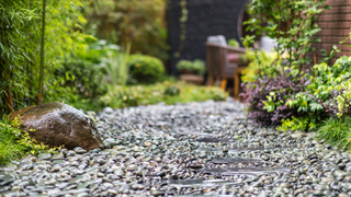 The gardener&rsquo;s guide to surviving heavy storms and waterlogged lawns