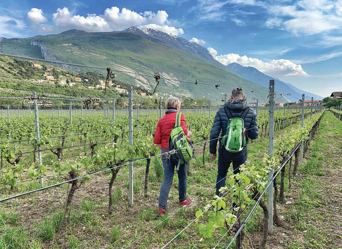 Two people hiking through a vineyard