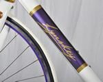 This Lynskey bicycle is being raffled to raise money for breast cancer.