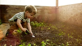 Sustainable gardening: image of planting in garden