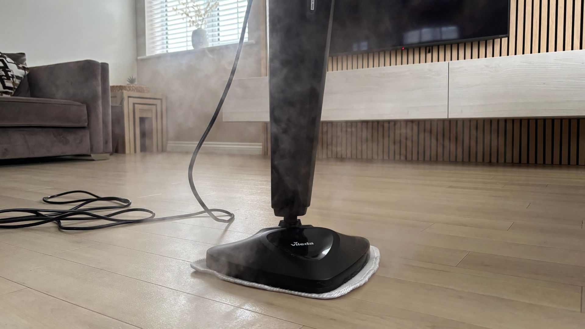 Testing the Vileda Steam Plus Steam Cleaner