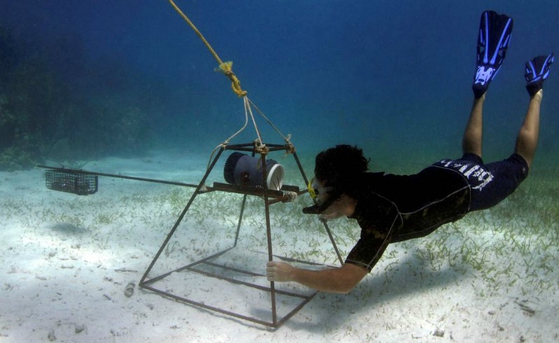 Mark Bond, lead author of the study, positions one of the baited cameras.