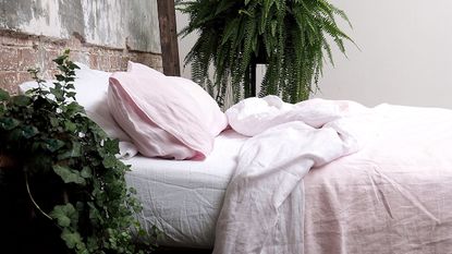 The best sheets from Piglet in Bed pictured on a bed in a room with two leafy green plants